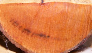 Třešňové dřevo